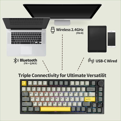 Ajazz AK820 Pro 75% Mechanical Keyboard